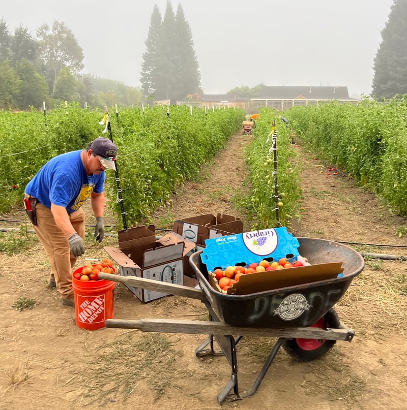 Gardening at El Jardin del Pueblo