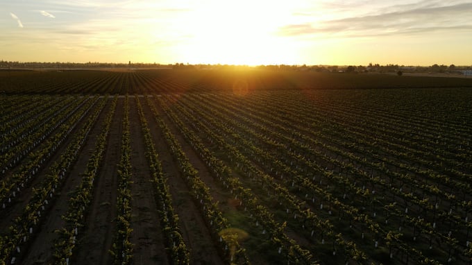 Lodi, CA Demo