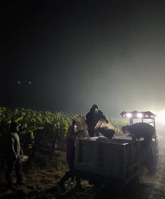 MK-V electric tractor during harvest