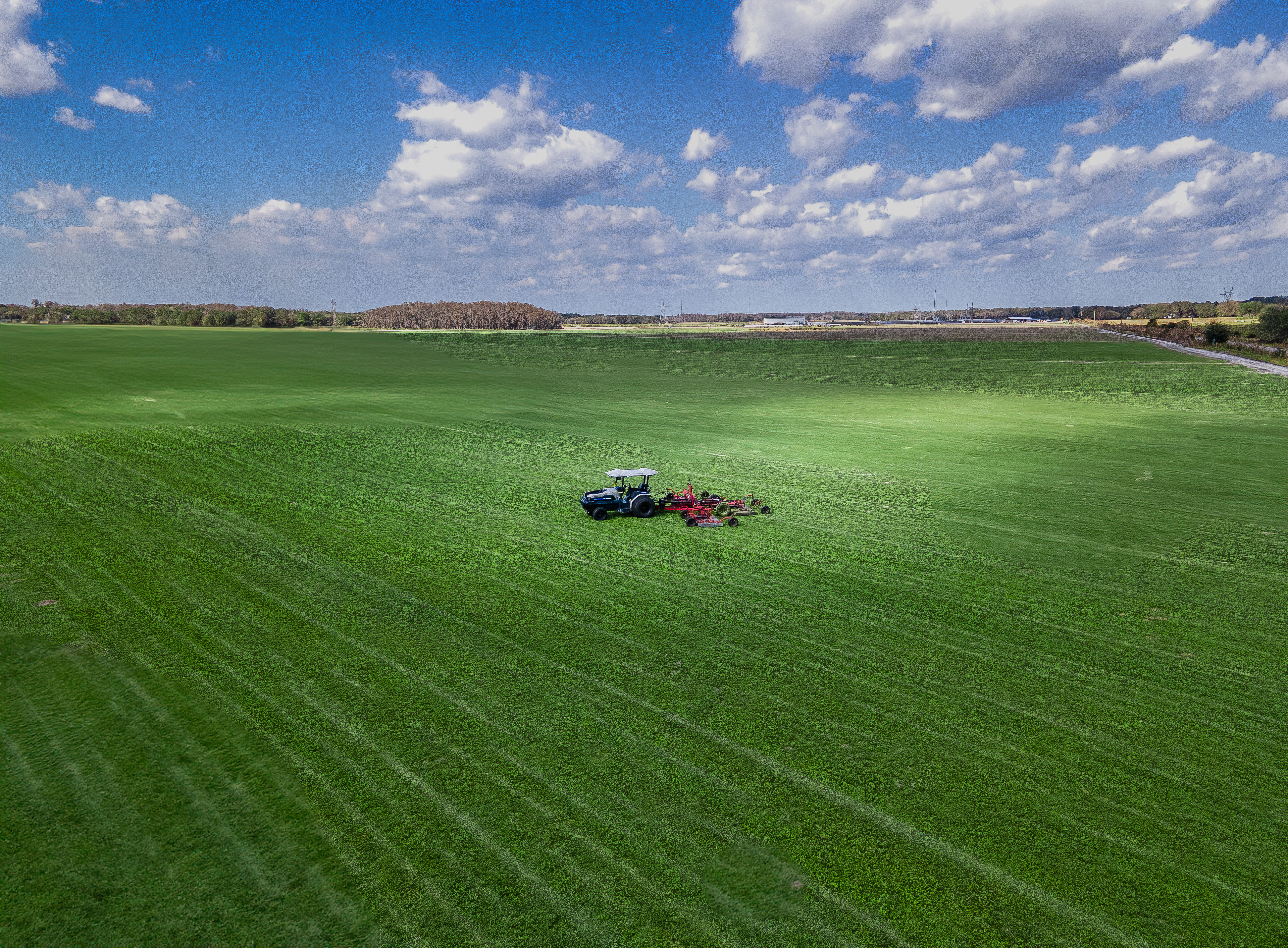 Sod farmers must meet daily mowing requirements to keep the grass at optimum height.