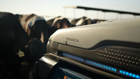 Cows consuming food from the MK-V pushfeeder