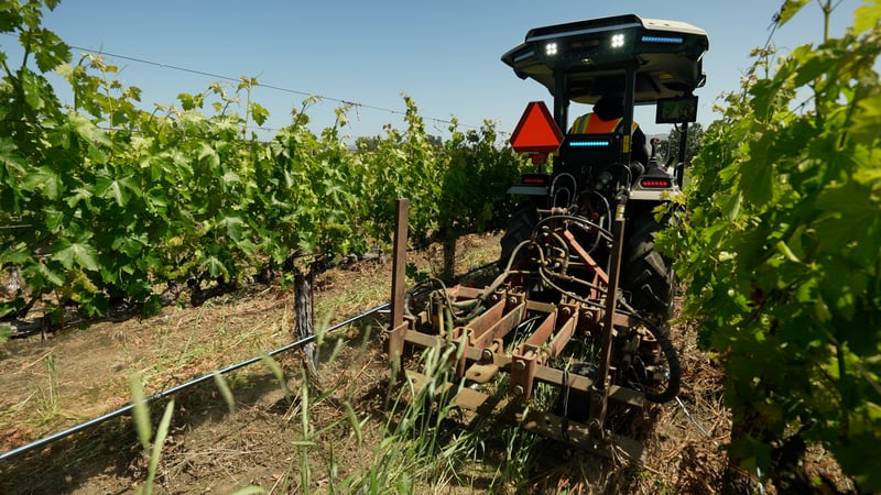 Monarch Tractor undervine weeding