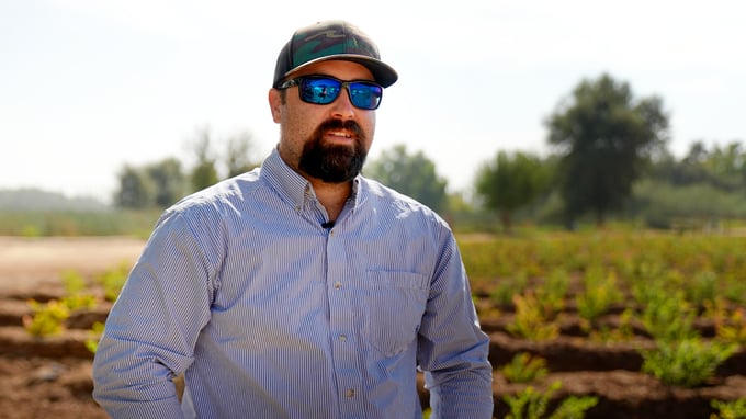 Blueberry Farming Trials